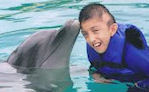 dolphin assisted therapy